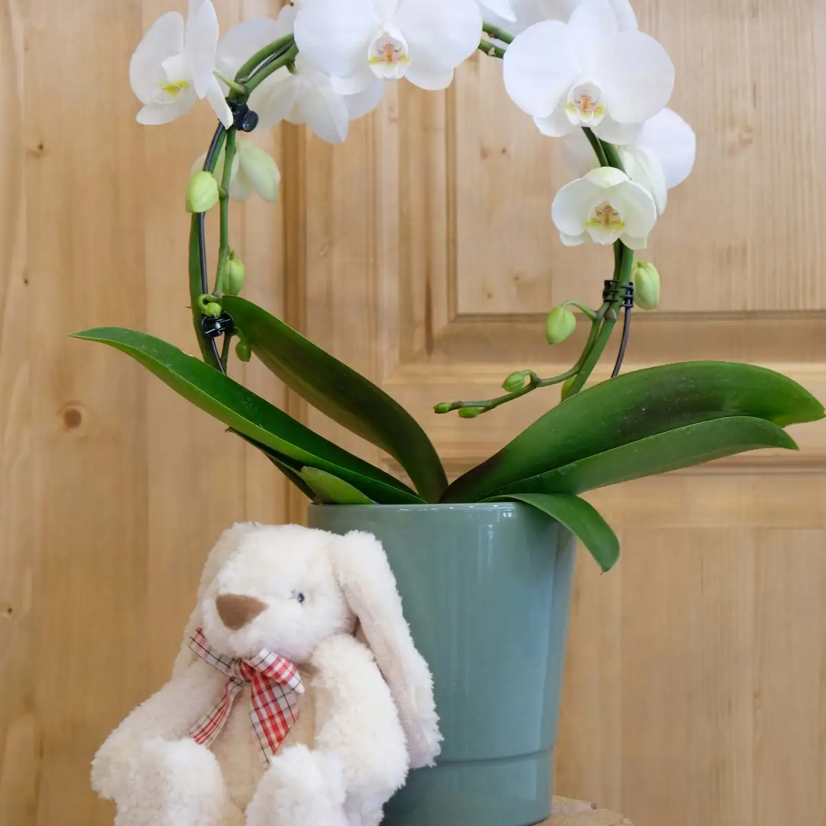 Peluche lapin
